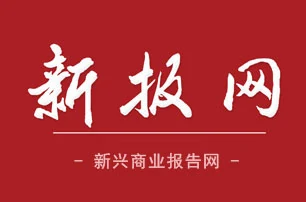 新报网-保险 Logo