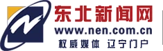东北新闻网（科技） Logo