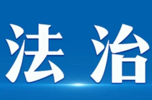 东北法制网 Logo