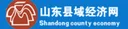 山东县域经济网 Logo