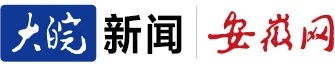 安徽网（大皖新闻） Logo