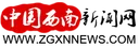 中国西南新闻网 Logo