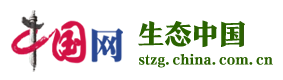 中国网-生态首发 Logo