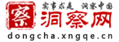 洞察网（包收录） Logo
