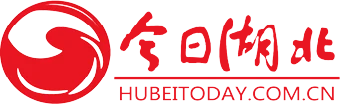 今日湖北网 Logo