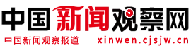 中国新闻观察网（包收录） Logo